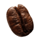 demo-attachment-38-coffee-beans-P4MXYZD5